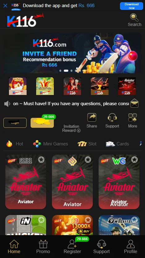 K116 Game Interface